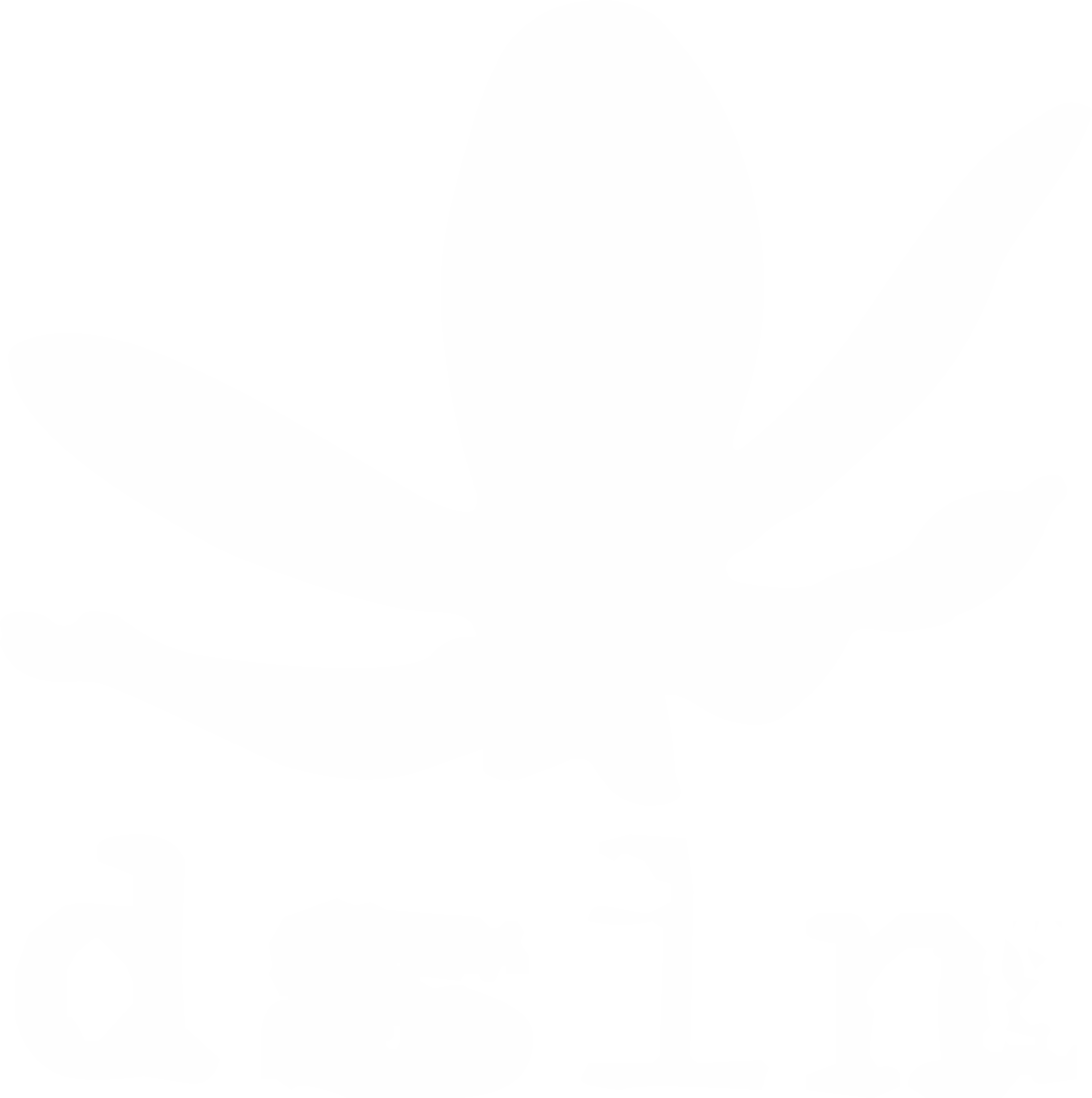 dslnmedia logo